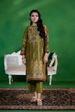 Sapphire-2 Piece - Embroidered Organza Suit